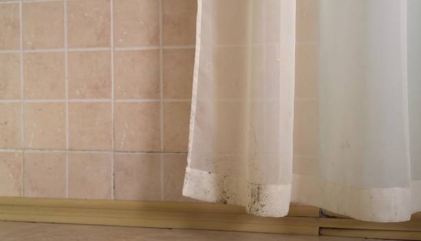 Best Mold-Related Health Consultation  in Sunset Beach, NC