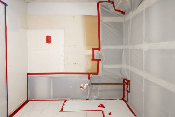 Asbestos and Lead Testing During Mold Inspection in Sunset Beach, NC