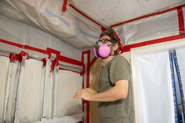 Best Emergency Mold Remediation  in Sunset Beach, NC